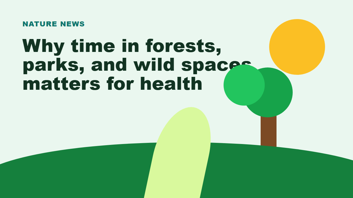 Illustration of forests parks and wild spaces for health and wellbeing