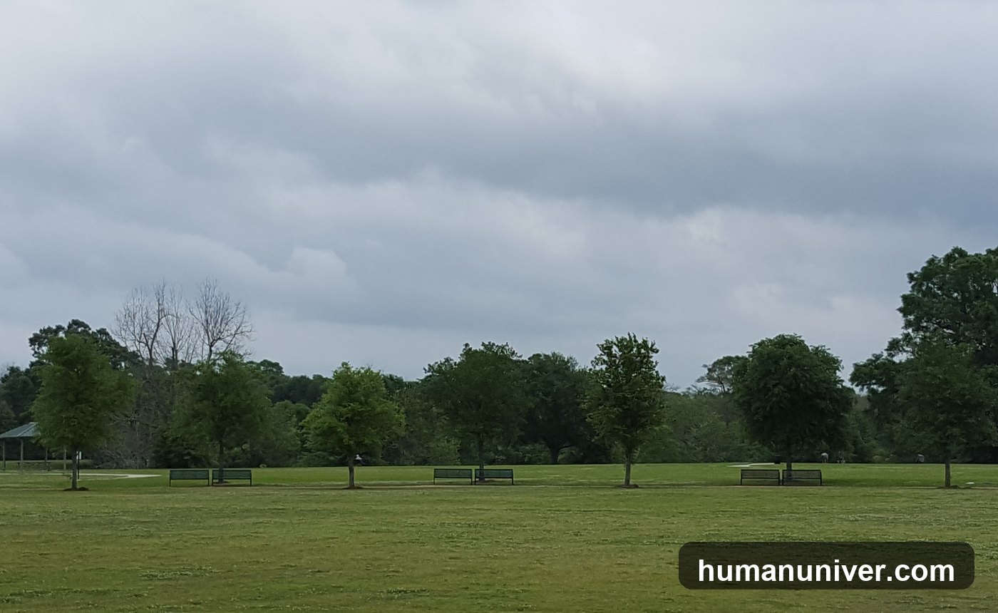 Green park path used for attention recovery